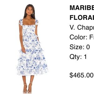 Maribelle Dress in French Blue Floral Size 0